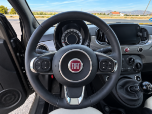 FIAT 500 (8)