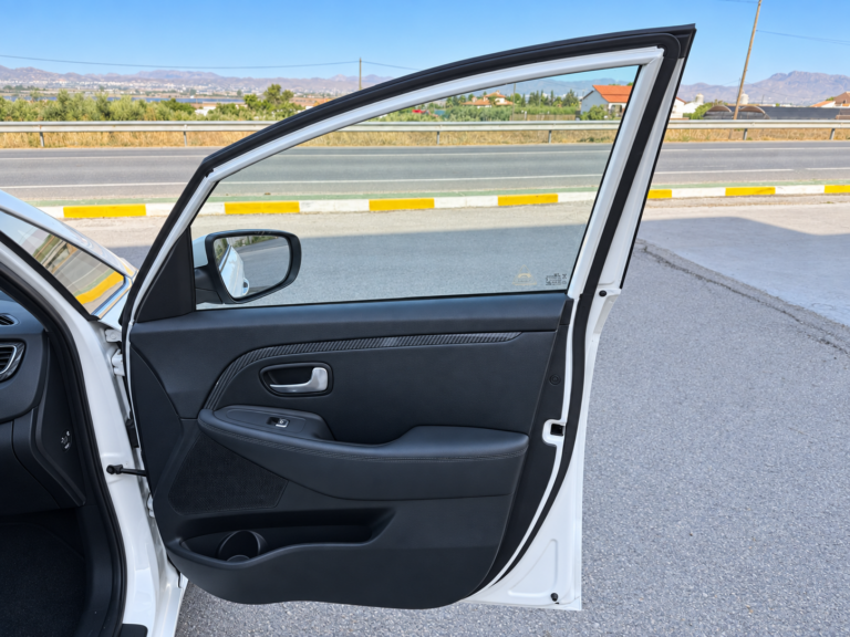 KIA CARENS 17
